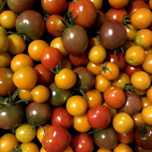 Cherry Tomatoes – quart